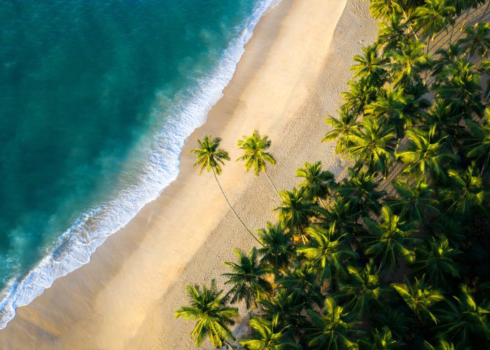amal-prasad-ztFkvmLKTcY-unsplash